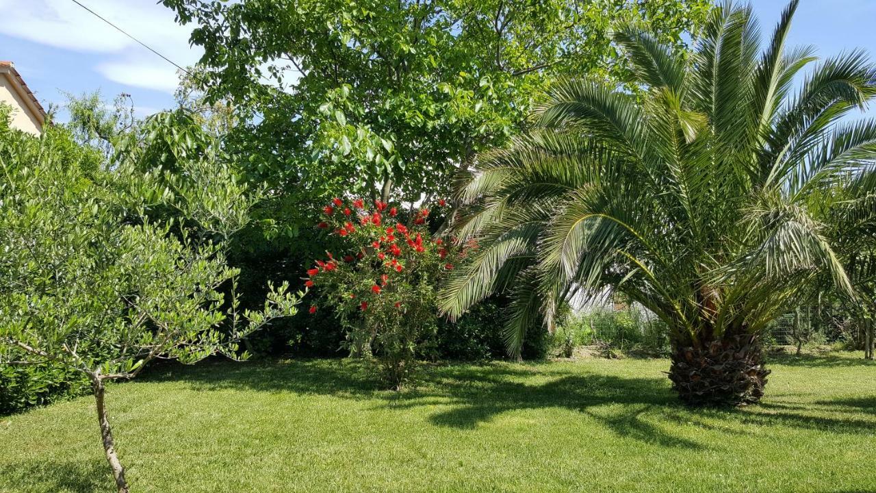 Apartamento Haus Mirela Ližnjan Exterior foto